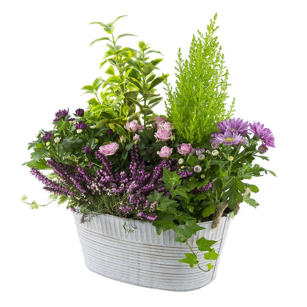 Composition D’Automne : Bassine Zinc, Ø 30 cm - - Coloris Variables 2 Composition D’Automne : Bassine Zinc, Ø 30 cm - - Coloris Variables – Image 2