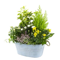 Composition D’Automne : Bassine Zinc, Ø 30 cm - - Coloris Variables