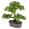 Emerald Mini Bonsaï Ficus Artificiel Vert 32 Cm 420002