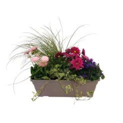 Jardinière De Bisannuelles Et Vivaces 40 Cm - Coloris Variables -Emerald Soldes 417571 004
