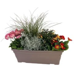 Jardinière De Bisannuelles Et Vivaces 40 Cm - Coloris Variables -Emerald Soldes 417571 005