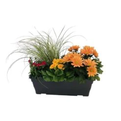 Jardinière De Bisannuelles Et Vivaces 40 Cm - Coloris Variables -Emerald Soldes 417571 007