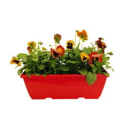 Pensée : Jardinière Colorée 40 Cm - Coloris Variables -Emerald Soldes 431665 007