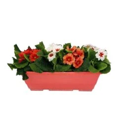 Primevères En Jardinière De 40cm Couleur - Coloris Variables -Emerald Soldes 440466 009