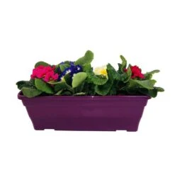 Primevères En Jardinière De 40cm Couleur - Coloris Variables -Emerald Soldes 440466 010