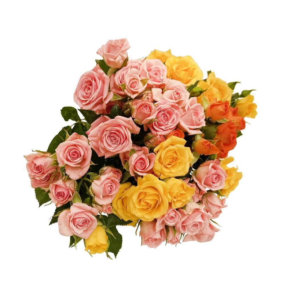 Botte De Roses Branchues - 5 Tiges : Coloris Variables 1 Botte De Roses Branchues - 5 Tiges : Coloris Variables