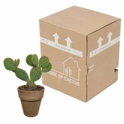 Opuntia Microdasys Et Son Cache-pot Marron - H40cm, ø17cm - Plante D'intérieur -Emerald Soldes 48d55715481eec9b