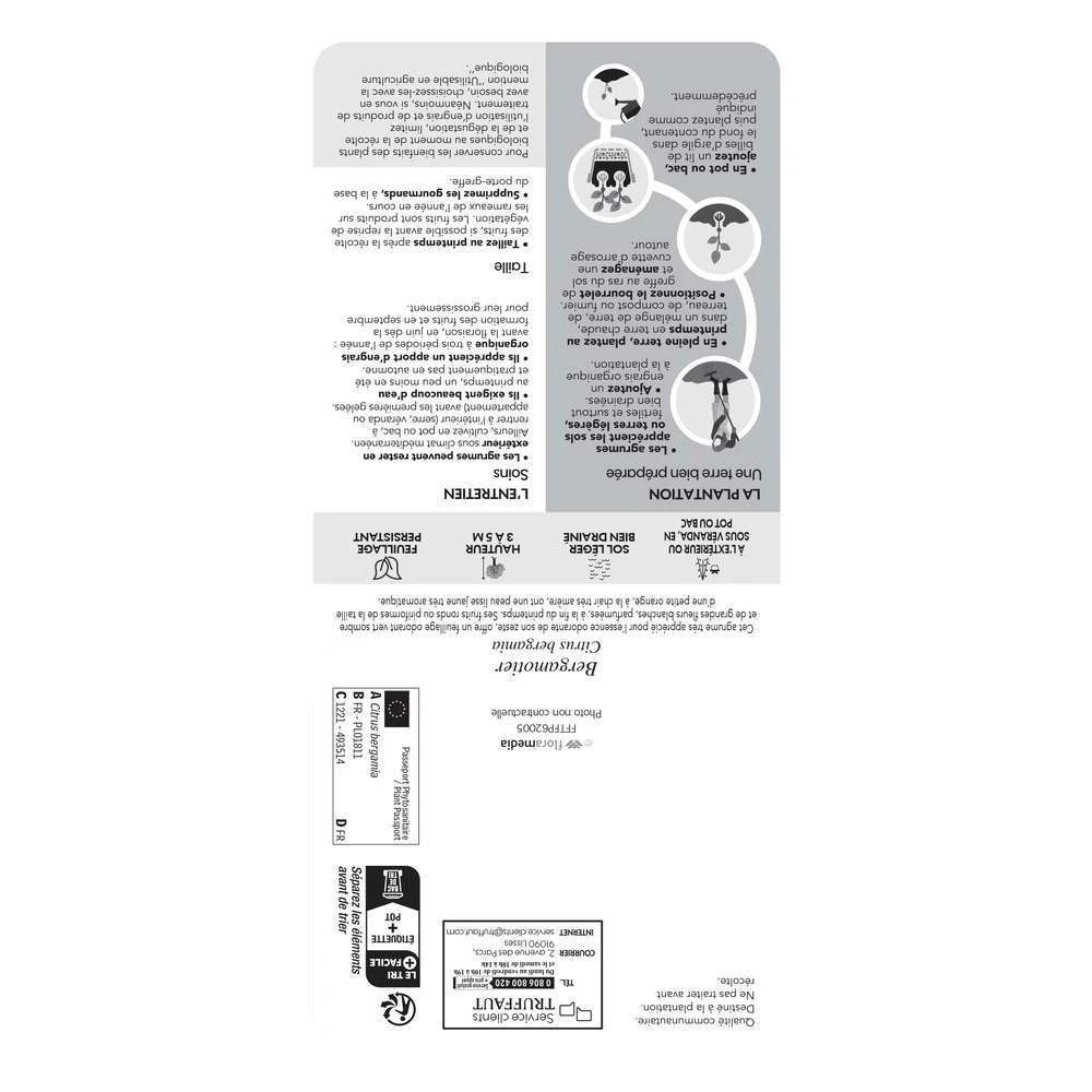 Bergamotier:AB Conteneur 3 Litres 3 Bergamotier:AB Conteneur 3 Litres – Image 3