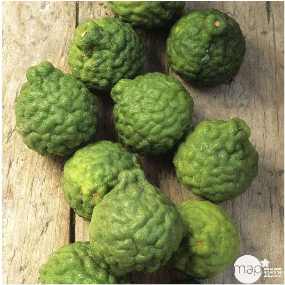 Combava AB :conteneur 3 Litres 5 Combava AB :conteneur 3 Litres – Image 5