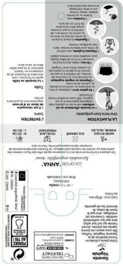 Lavandula Angustifolia Anna : C. 3L -Emerald Soldes 510699 005