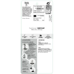 Framboisier 'Héritage' : Pot De 5 Litres 8 Framboisier 'Héritage' : Pot De 5 Litres -Emerald Soldes 523572 1391392