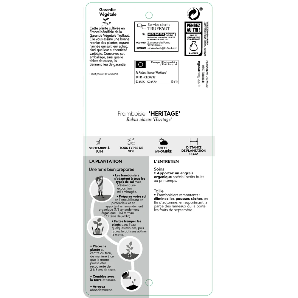 Framboisier 'Héritage' : Pot De 5 Litres 4 Framboisier 'Héritage' : Pot De 5 Litres – Image 4