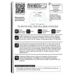 Allium Giganteum : C1L 5 Allium Giganteum : C1L -Emerald Soldes 585919 002