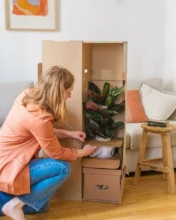 Plante D'intérieur - Monstera Deliciosa Xl 75cm 5 Plante D'intérieur - Monstera Deliciosa Xl 75cm -Emerald Soldes 6377dd51004930.76193795