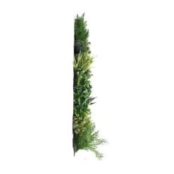 Mur Végétal Artificiel Premium City 2 - 12 Plantes - 1m X 1m 9 Mur Végétal Artificiel Premium City 2 - 12 Plantes - 1m X 1m -Emerald Soldes 639b1ded629b17.80014198