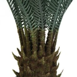 Plante Artificielle - Cycas Du Japon 80cm 7 Plante Artificielle - Cycas Du Japon 80cm -Emerald Soldes 639b1df449a0b6.23211245