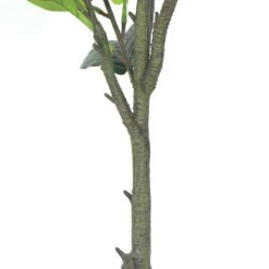 Plante Artificielle - Figuier 135cm -Emerald Soldes 63cbb442b97305.38121552
