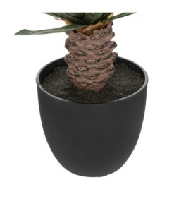 ATMOSPHERA Plante Artificielle Palmier En Pot H 52 Cm 5 ATMOSPHERA Plante Artificielle Palmier En Pot H 52 Cm -Emerald Soldes 63eb35d3655c21.88613580