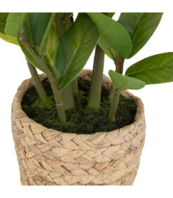 ATMOSPHERA Plante Artificielle Zamio En Pot H 41 Cm 5 ATMOSPHERA Plante Artificielle Zamio En Pot H 41 Cm -Emerald Soldes 63eb35dbddde12.31611138