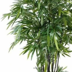 Bambou Artificiel à Cannes Noires Effet Zen H 270 Cm - Choisissez Votre Hauteur: -Emerald Soldes 63f6080a4cc649.27920023