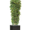 Schefflera Artificiel En Colonne En Pot H 195 Cm Vert-jaune