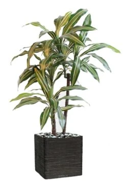 Dracaena Artificiel 3 Têtes H 90 Cm En Pot Vert-jaune -Emerald Soldes 63f6082779db42.86989259