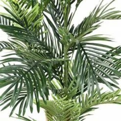 Joli Palmier Areca Artificiel En Pot Multitroncs H 150 Cm Vert - Choisissez Votr 5 Joli Palmier Areca Artificiel En Pot Multitroncs H 150 Cm Vert - Choisissez Votr -Emerald Soldes 63f6082a9b5b29.86471763