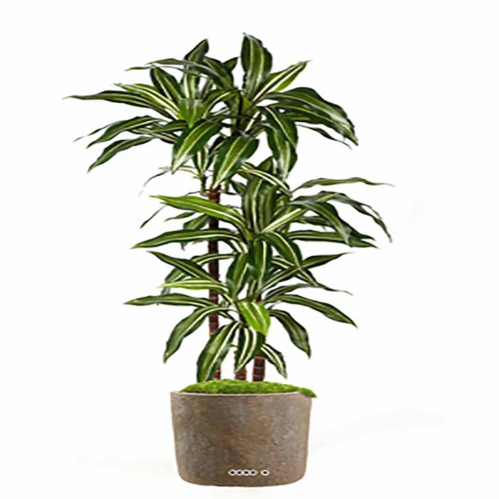 Dracaena Artificiel Fragrans 3 Troncs En Pot H 120 Cm Blanc-vert D 60cm - Choisi 1 Dracaena Artificiel Fragrans 3 Troncs En Pot H 120 Cm Blanc-vert D 60cm - Choisi