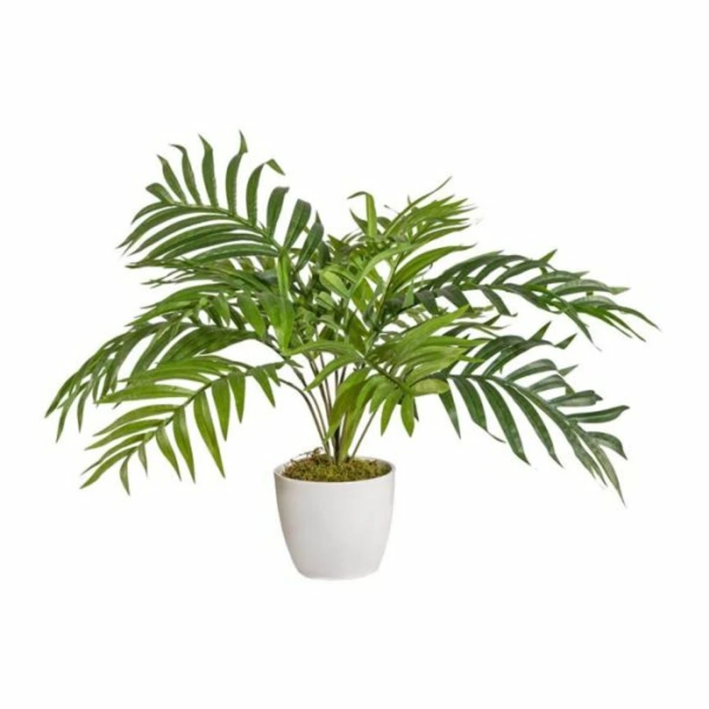 Palmier Areca Artificiel En Pot Ceramique H 60 Cm Superbe 1 Palmier Areca Artificiel En Pot Ceramique H 60 Cm Superbe