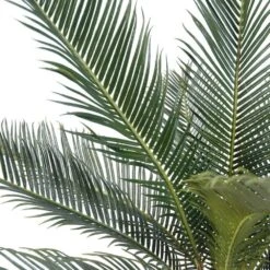 Palmier Cycas Artificiel En Pot H 50 Cm Vert - Choisissez Votre Hauteur: H 50 Cm -Emerald Soldes 63fa5142a15859.96036681