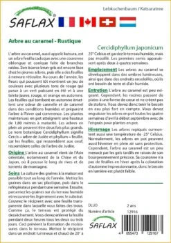 Kit De Culture - Arbre Au Caramel - 200 Graines - Cercidiphyllum Japonicum -Emerald Soldes 64064132c9d4c4.04855019