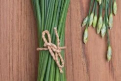 Kit De Culture - Bio - Ciboulette De Chine - 100 Graines - Allium Tuberosum -Emerald Soldes 6406414b24e430.90625062