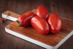 Kit De Culture - Bio - Tomate - San Marzano - 15 Graines - Solanum Lycopersicum -Emerald Soldes 6406416b4f7255.16851216