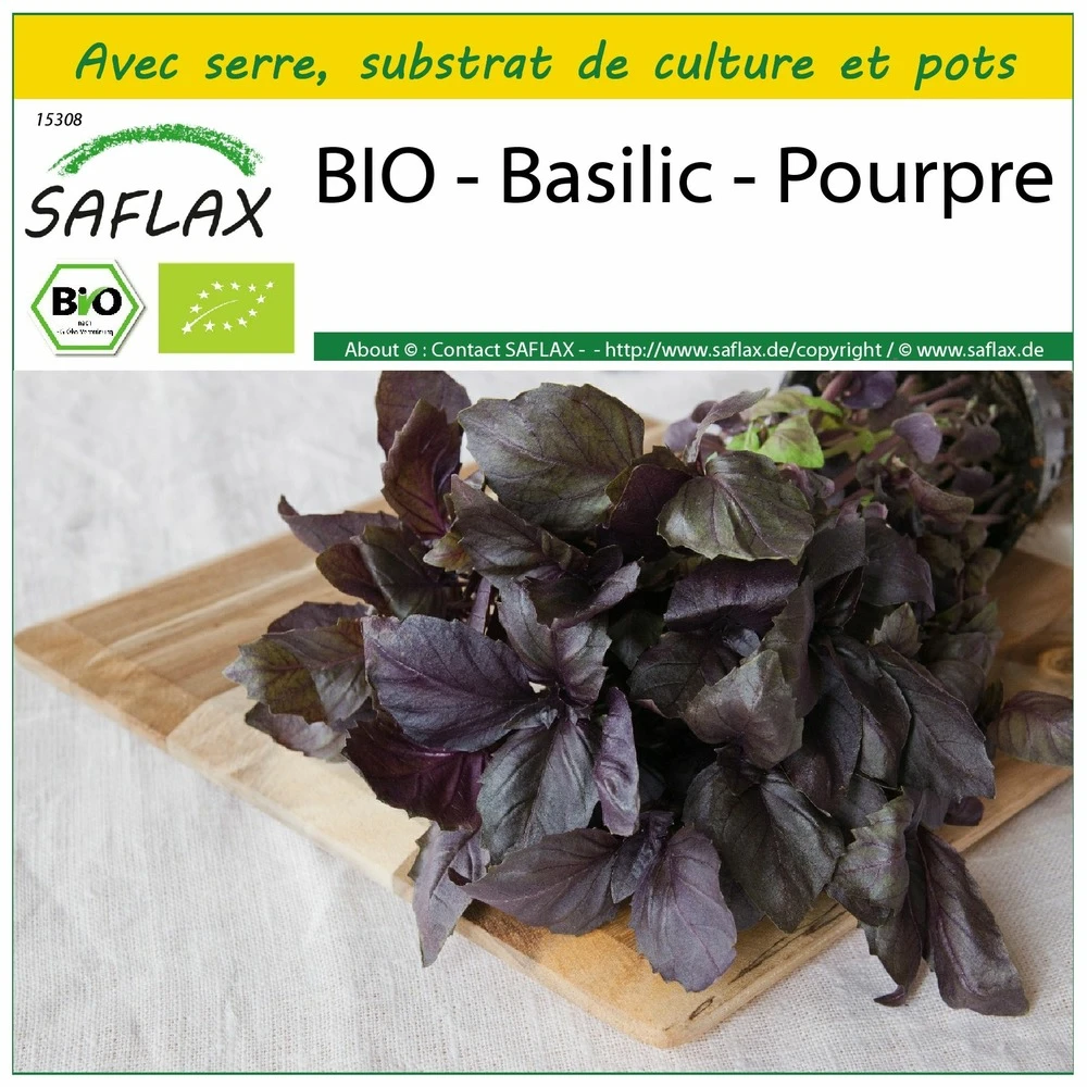 Kit De Culture - Bio - Basilic - Pourpre - 400 Graines - Ocimum Basilicum 1 Kit De Culture - Bio - Basilic - Pourpre - 400 Graines - Ocimum Basilicum