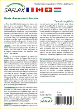 Kit De Culture - Plante Chauve-souris Blanche - 10 Graines - Tacca Integrifolia -Emerald Soldes 6406417d60c3a0.37345696