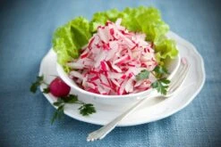 Kit De Culture - Bio - Radis - Cherry Bell - 100 Graines - Raphanus Sativus 10 Kit De Culture - Bio - Radis - Cherry Bell - 100 Graines - Raphanus Sativus -Emerald Soldes 640641a656fec4.35520788