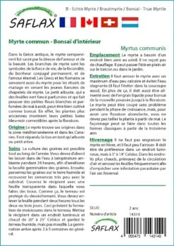 Kit De Culture - Myrte Commun - 30 Graines - Myrtus Communis -Emerald Soldes 640641b38ab843.99066445