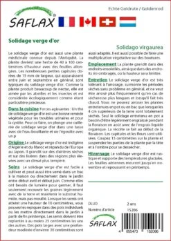 Kit De Culture - Solidage Verge D'or - 100 Graines - Solidago Virgaurea -Emerald Soldes 640641b4d55022.73382482