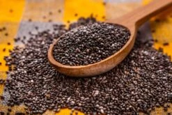 Kit De Culture - Bio - Sauge - 60 Graines - Salvia Officinalis -Emerald Soldes 640641bf510530.24887861