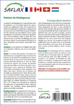 Kit De Culture - Palmier De Madagascar - 10 Graines - Pachypodium Lamerei 9 Kit De Culture - Palmier De Madagascar - 10 Graines - Pachypodium Lamerei -Emerald Soldes 640641c714a995.97409461