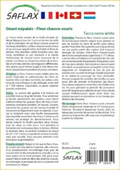 Kit De Culture - Géant Népalais - Fleur Chauve-souris - 10 Graines - Tacca Nevia White 6 Kit De Culture - Géant Népalais - Fleur Chauve-souris - 10 Graines - Tacca Nevia White -Emerald Soldes 640641cb3c2931.45314096
