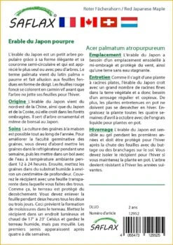 Kit De Culture - Erable Du Japon Pourpre - 20 Graines - Acer Palmatum Atropurpureum 9 Kit De Culture - Erable Du Japon Pourpre - 20 Graines - Acer Palmatum Atropurpureum -Emerald Soldes 640641d837b750.91534800