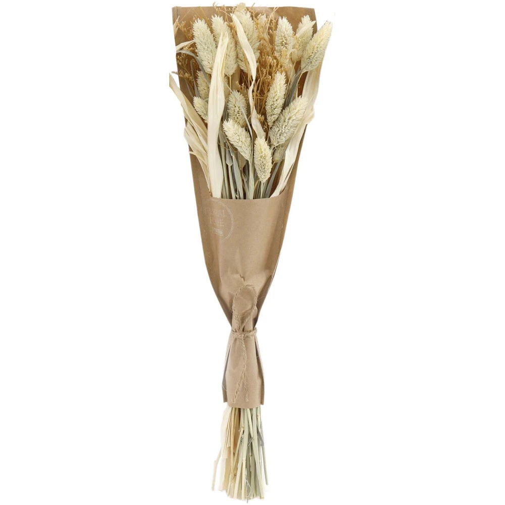 Bouquet Fleurs Séchées Naturelles Aurora (lot De 2) 3 Bouquet Fleurs Séchées Naturelles Aurora (lot De 2) – Image 3