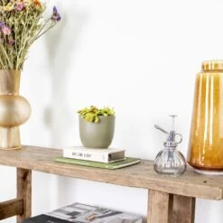 Dionaea Muscipula – Plante Carnivore – Peu D'entretien – ⌀12 Cm – ↕10-15 Cm -Emerald Soldes 640b20a5e78e48.00125916