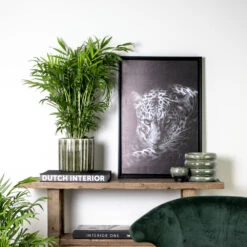 Chamaedorea Elegans - Palmier Nain Mexicain - Purificateur D'air – ⌀17 Cm - ↕50-60 Cm 7 Chamaedorea Elegans - Palmier Nain Mexicain - Purificateur D'air – ⌀17 Cm - ↕50-60 Cm -Emerald Soldes 640b21045e72a5.33117055