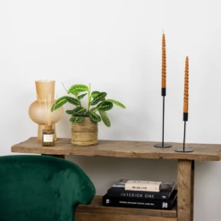 Maranta Lemon Lime – Plante De Prière – Plante D'intérieur – Purificateur D'air – ⌀12cm –↕10-15cm -Emerald Soldes 640b786dee6560.87406910