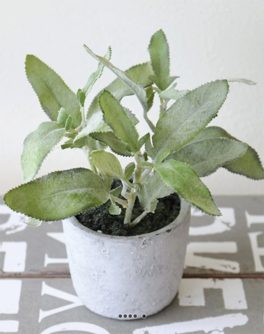 Herbe Aromatique Artificielle Sauge H 17 Cm, D 16cm 1 Herbe Aromatique Artificielle Sauge H 17 Cm, D 16cm