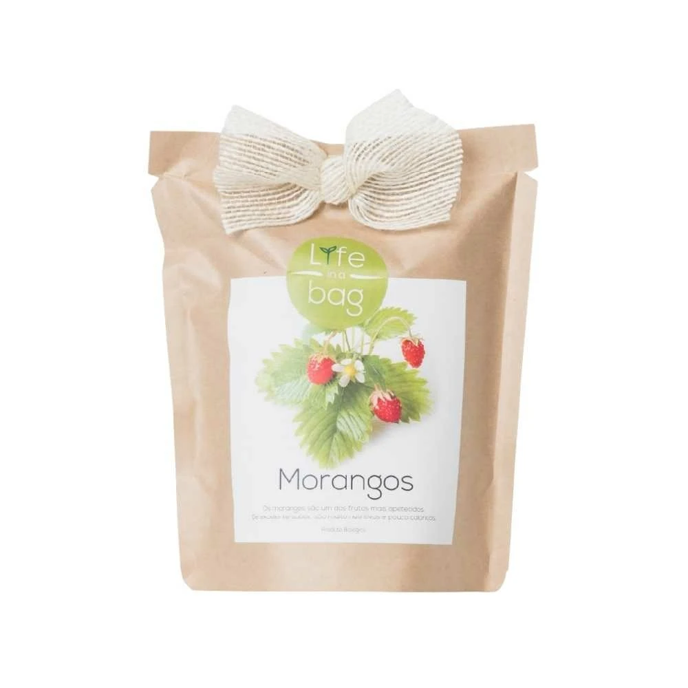 Kit Bio Prêt à Pousser Fraise 1 Kit Bio Prêt à Pousser Fraise