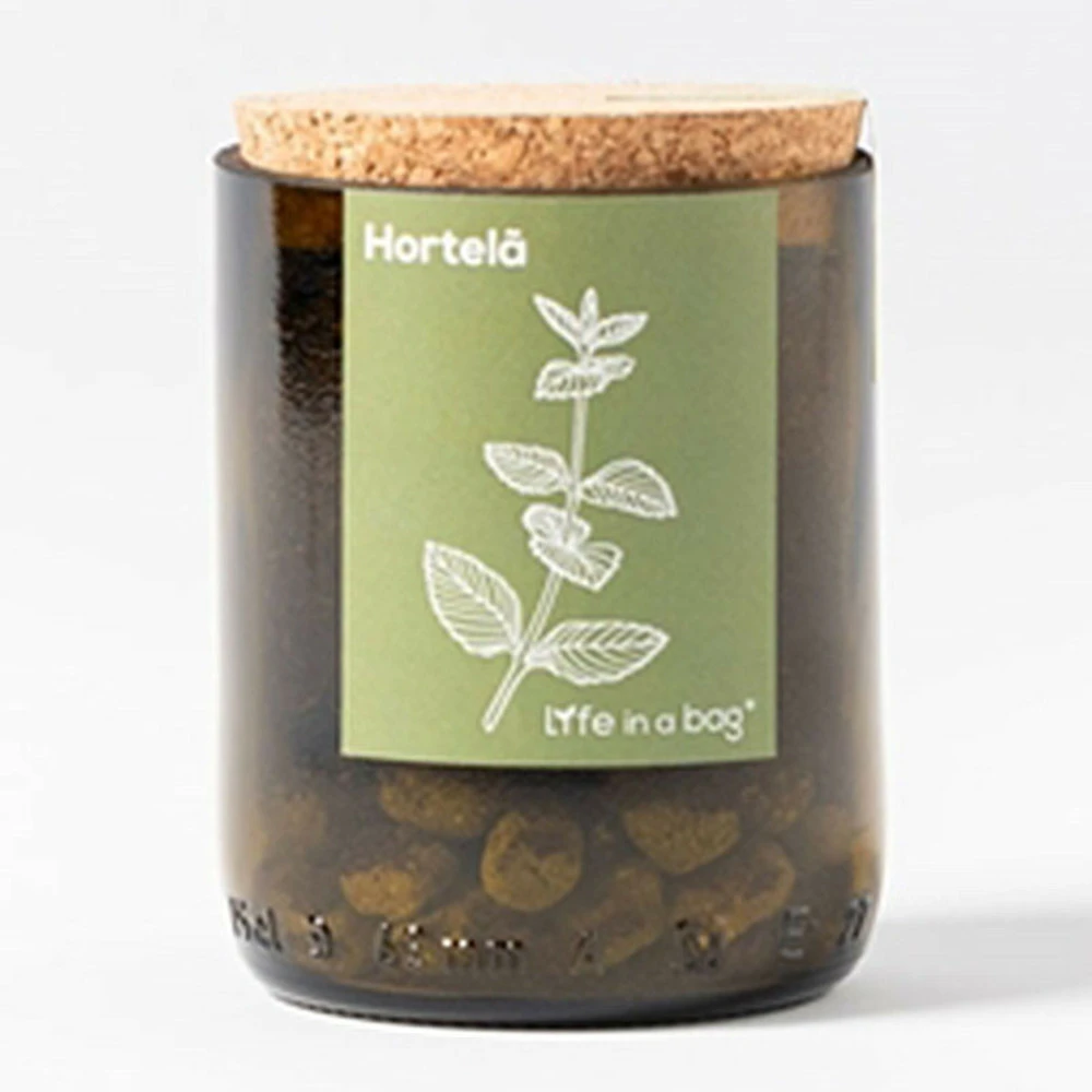 Kit Bouteille Prêt à Pousser Menthe 1 Kit Bouteille Prêt à Pousser Menthe