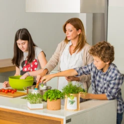 Sac Papier Prêt à Cultiver Calendula -Emerald Soldes 6420e04ce65762.91235116